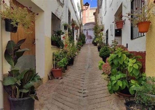 Terreno en Fuente del sol, 23