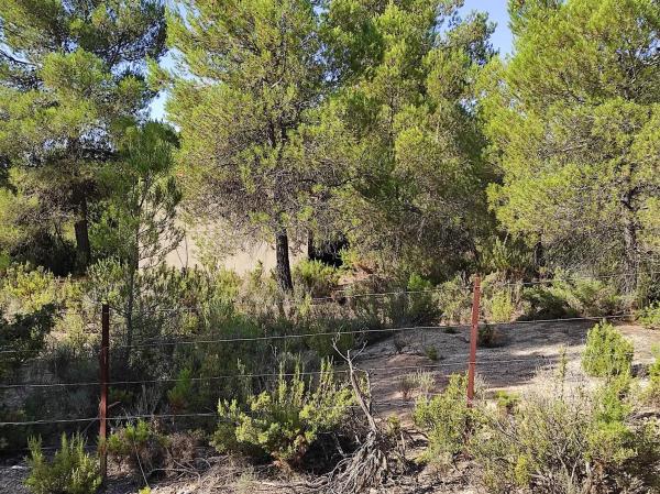 Terreno en Partida de Arciseco, km 437