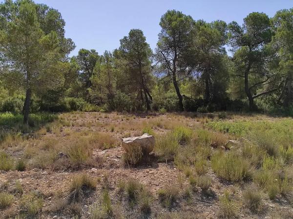 Terreno en Partida de Arciseco, km 437