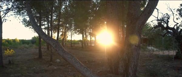 Terreno en Diseminado p 3