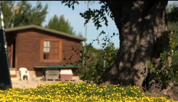 Terreno en Diseminado p 3