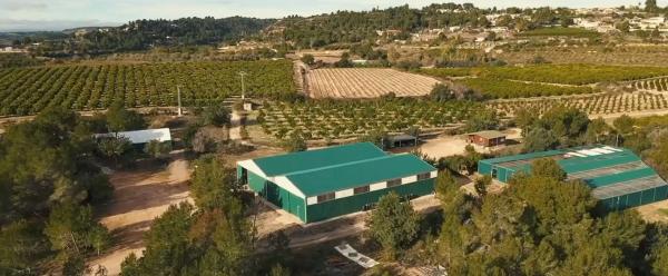 Terreno en Diseminado p 3