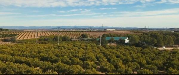 Terreno en Diseminado p 3