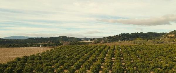 Terreno en Diseminado p 3