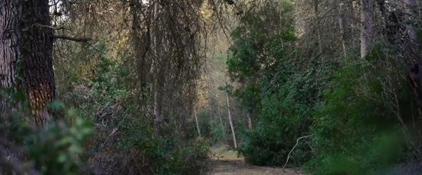 Terreno en Diseminado p 3