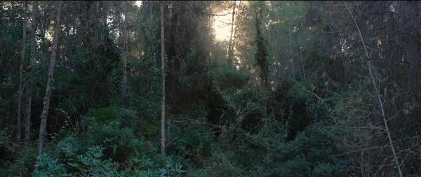 Terreno en Diseminado p 3