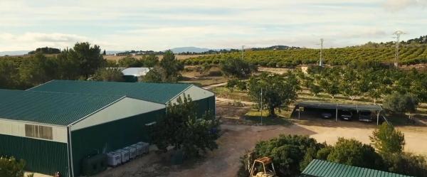 Terreno en Diseminado p 3