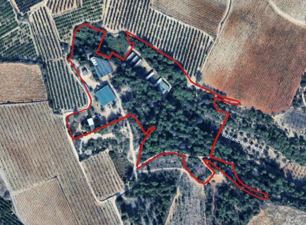 Terreno en Diseminado p 3