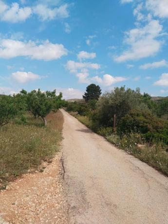 Terreno en Dos Aguas