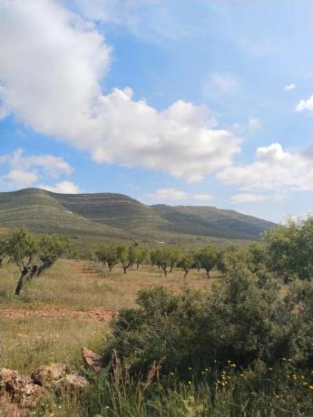 Terreno en Dos Aguas