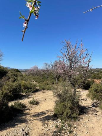 Terreno en poligono 30 Parcela 72 s/n