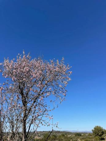 Terreno en poligono 30 Parcela 72 s/n