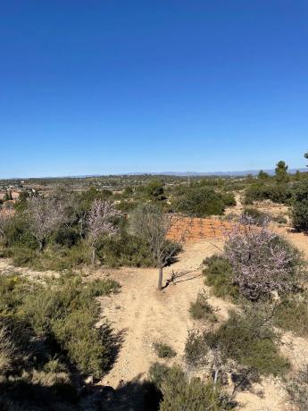 Terreno en poligono 30 Parcela 72 s/n