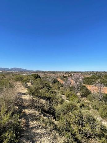 Terreno en poligono 30 Parcela 72 s/n