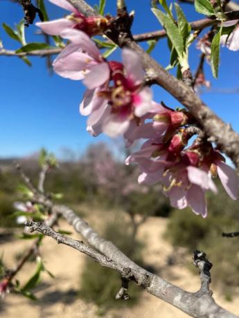 Terreno en poligono 30 Parcela 72 s/n