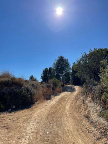 Terreno en poligono 30 Parcela 72 s/n