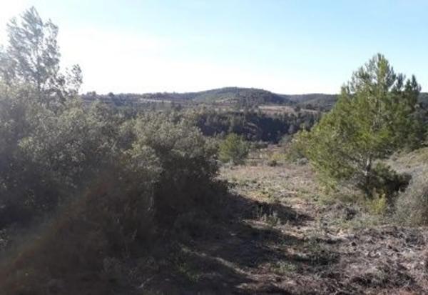 Terreno en En Termino De Yatova, Partida De La Cruz, Linda: Norte, Consuelo Lopez Fayos, Sur, Carretera Collado Uman: Este, Jose Iniesta Rodriguez y Otro, Oeste, Isabel Ortiz Carrascosa, km 50