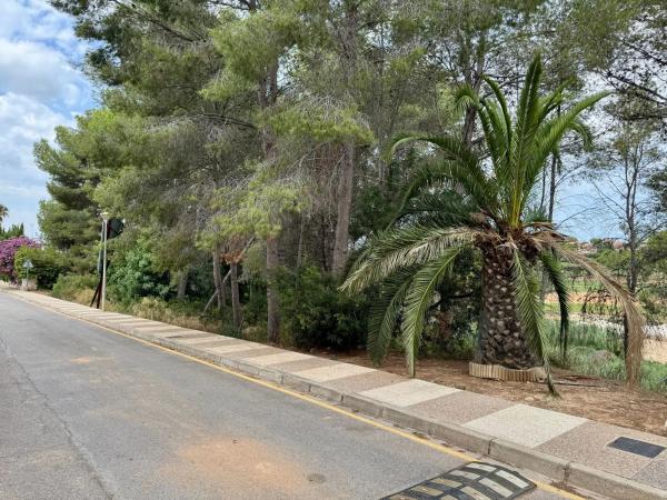 Terreno en Urbanizacion Bosque