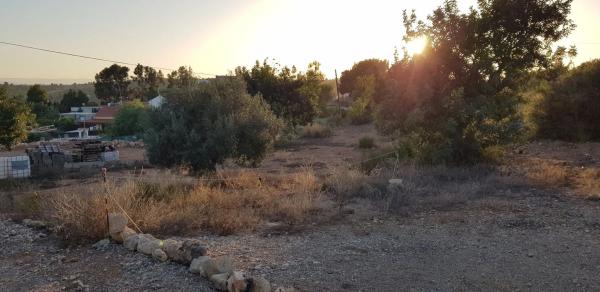 Terreno en calle del Tejo, 26