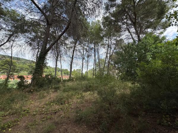 Terreno en Urbanizacion Bosque