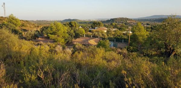 Terreno en calle del Tejo, 26