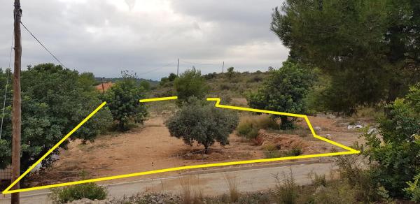 Terreno en calle del Tejo, 26