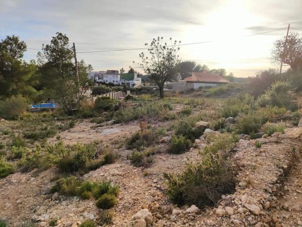 Terreno en calle del Tejo, 26