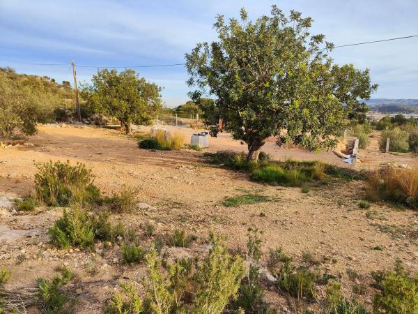 Terreno en calle del Tejo, 26