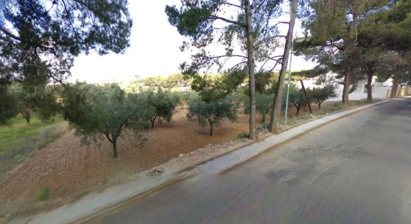 Terreno en calle los Jazmines, 8