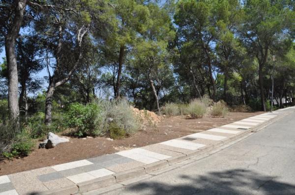 Terreno en Urbanización El Bosque, 19