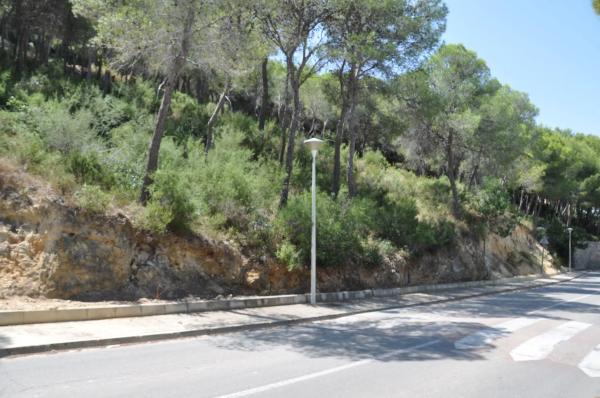 Terreno en Urbanización El Bosque, 19