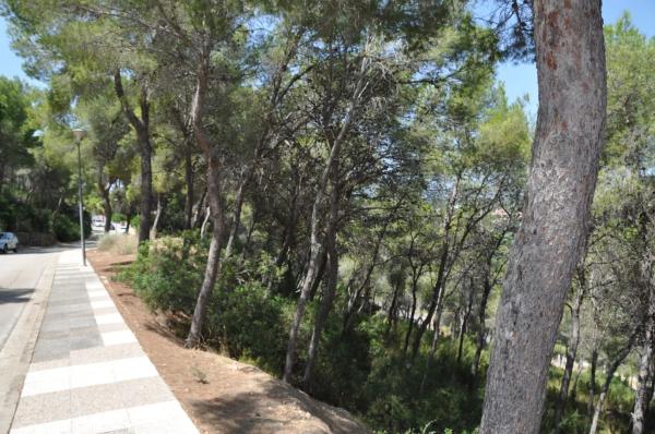 Terreno en Urbanización El Bosque, 19