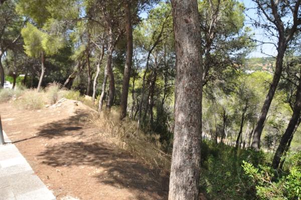Terreno en Urbanización El Bosque, 19