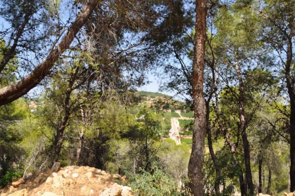 Terreno en Urbanización El Bosque, 19