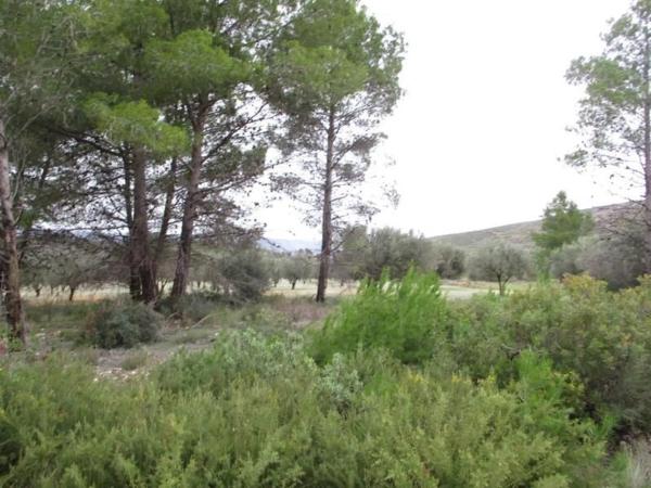 Terreno en Urbanització Llanorel 11