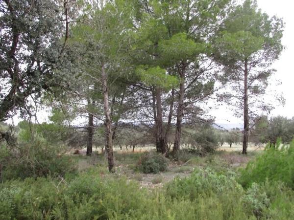 Terreno en Urbanització Llanorel 11