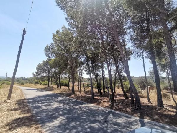 Terreno en Cueva Morica s/n chiva