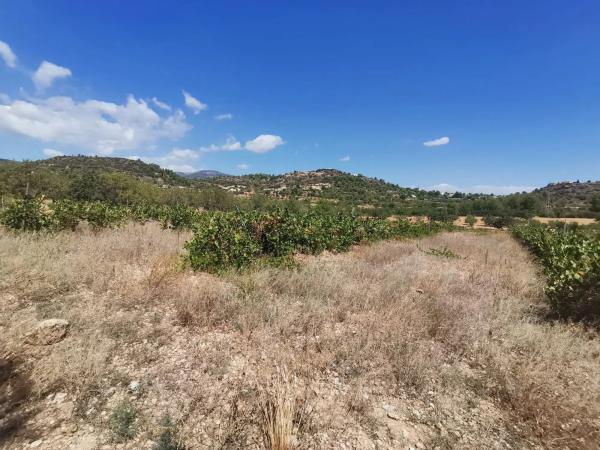 Terreno en Cueva Morica s/n chiva