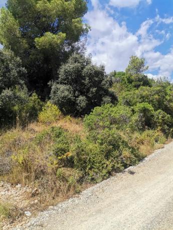 Terreno en Sargantas, 2 Poligono