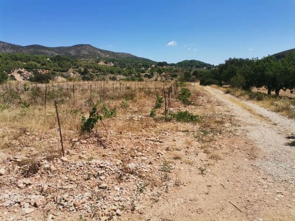 Terreno en Sargantas, 2 Poligono