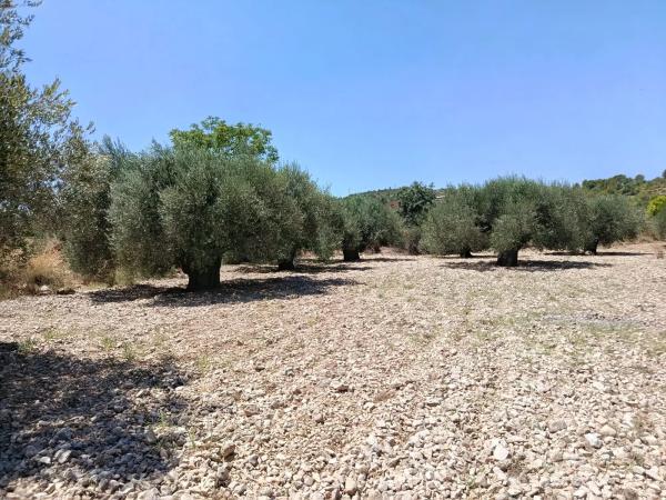 Terreno en Polígono 1 Parcela 182 Cañada Del Granizo