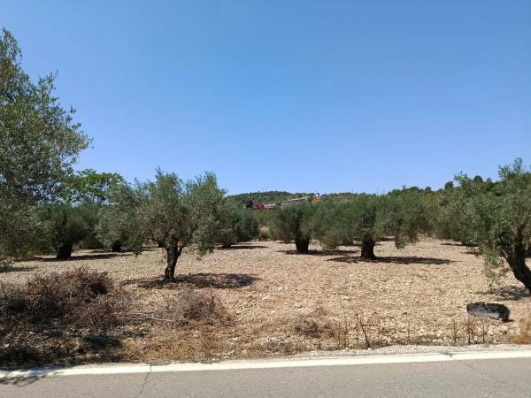 Terreno en Polígono 1 Parcela 182 Cañada Del Granizo