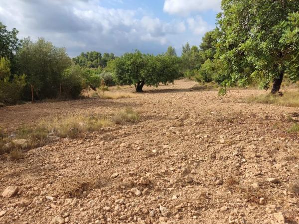 Terreno en Polígono 1 Parcela 182 Cañada Del Granizo