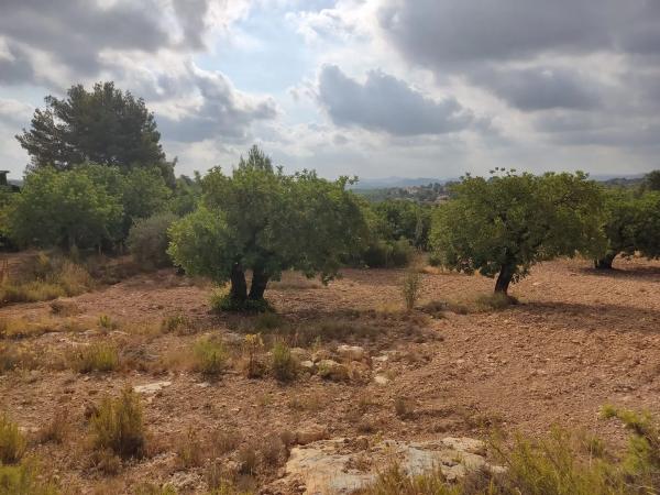 Terreno en Polígono 1 Parcela 182 Cañada Del Granizo