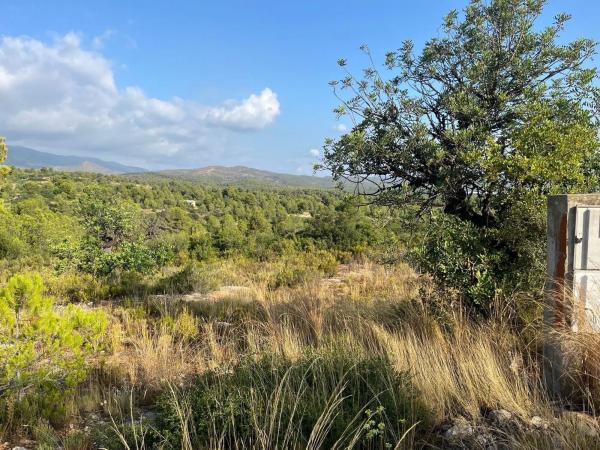 Terreno en calle Río Turia, 8