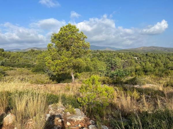 Terreno en calle Río Turia, 8