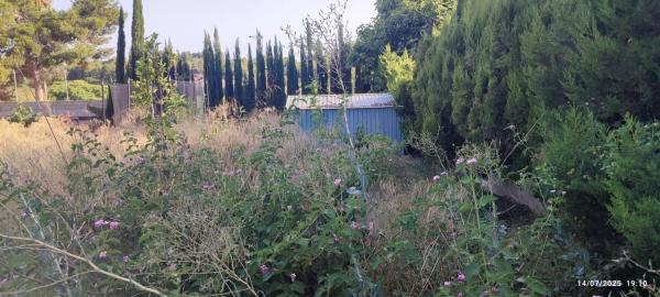 Terreno en Urbanización Fuentecica 1, 2