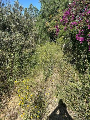 Terreno en pol 6 s/n