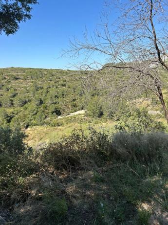 Terreno en pol 6 s/n