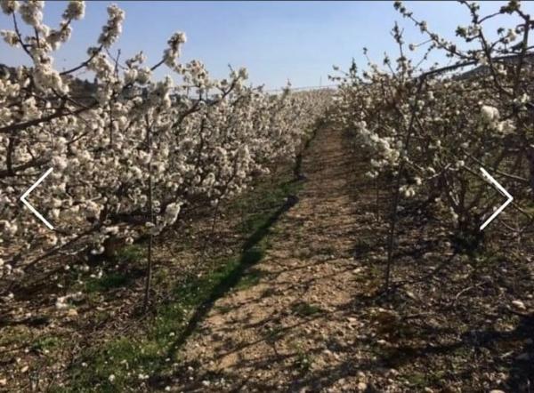 Terreno en Cv-425 s/n